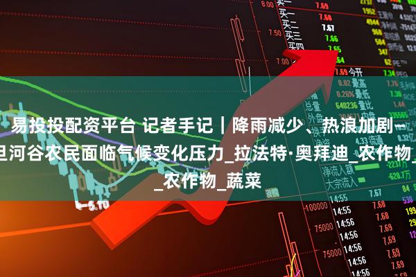 易投投配资平台 记者手记｜降雨减少、热浪加剧——约旦河谷农民面临气候变化压力_拉法特·奥拜迪_农作物_蔬菜